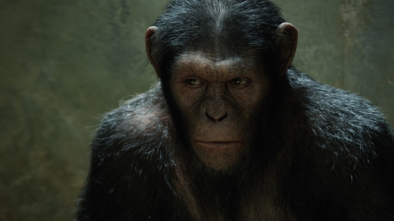 Blu-ray Film Planet der Affen Prevolution (Fox) im Test, Bild 3