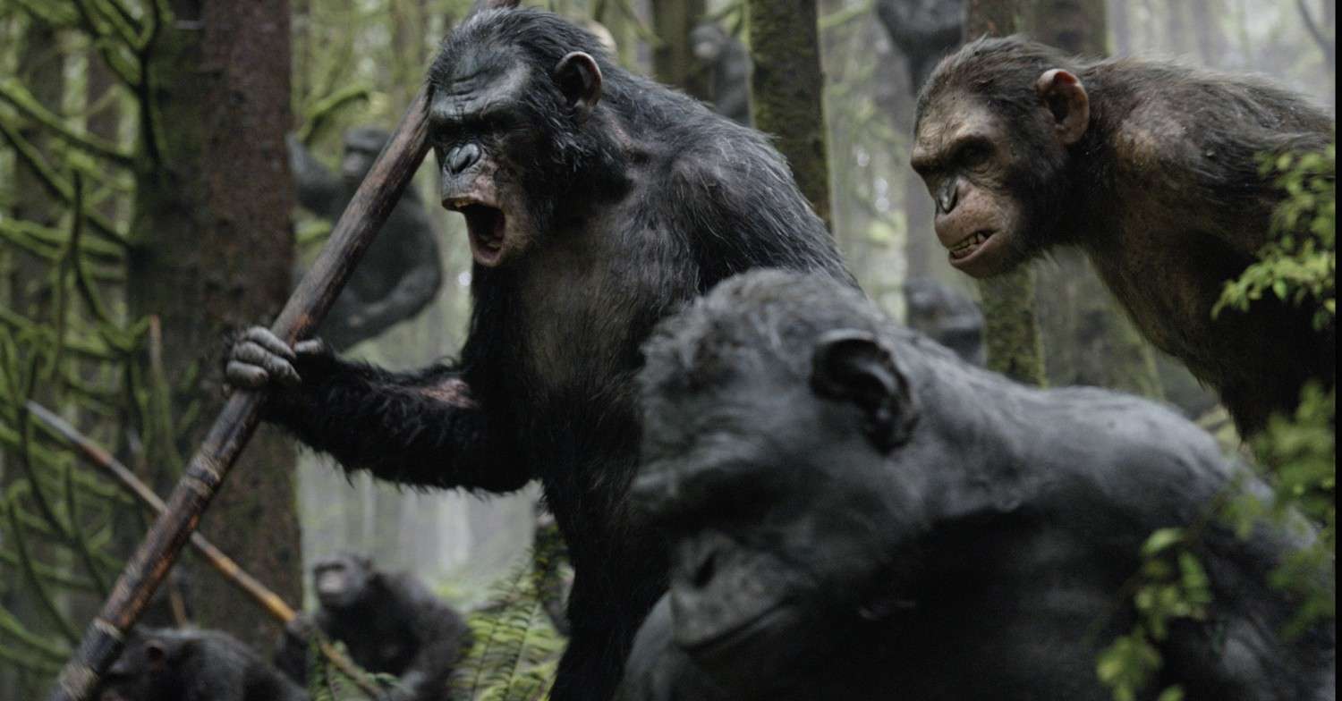 Blu-ray Film Planet der Affen: Revolution (20th Century Fox) im Test, Bild 2