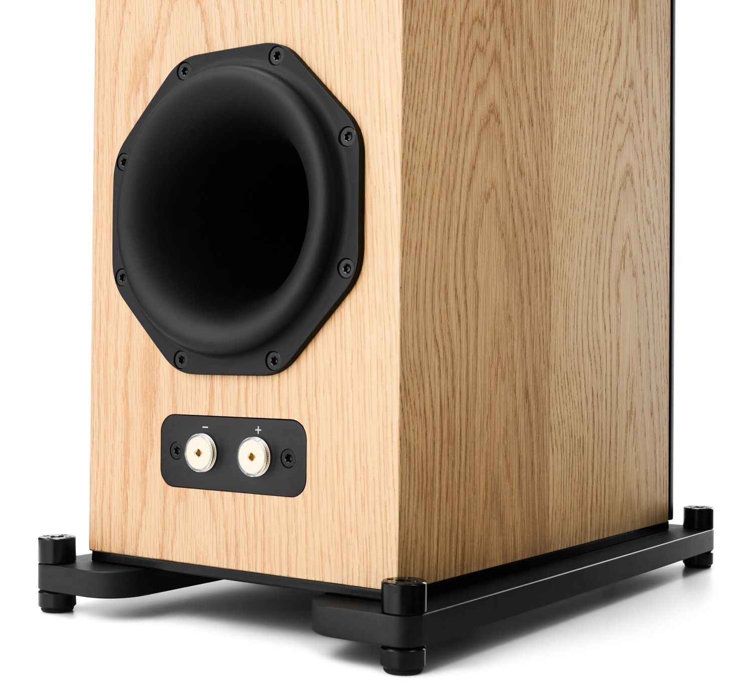 Aus zwei Wegen ins High End: Radiant Acoustics Clarity 66, Bild 5 Lautsprecher Stereo Radiant Acoustics Clarity 66 im Test, Bild 5