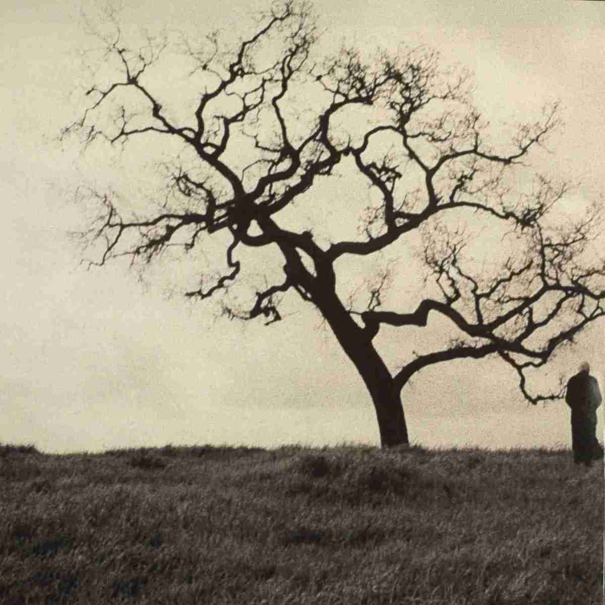 The Smashing Pumpkins - Adore: The Smashing Pumpkins - Adore (Caroline Recordings / Virgin Records), Bild 2 Schallplatte The Smashing Pumpkins - Adore (Caroline Recordings / Virgin Records) im Test, Bild 2