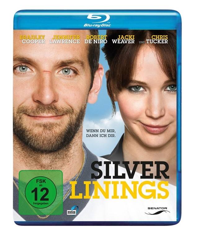 Blu-ray Film Silver Linings (Senator) im Test, Bild 1