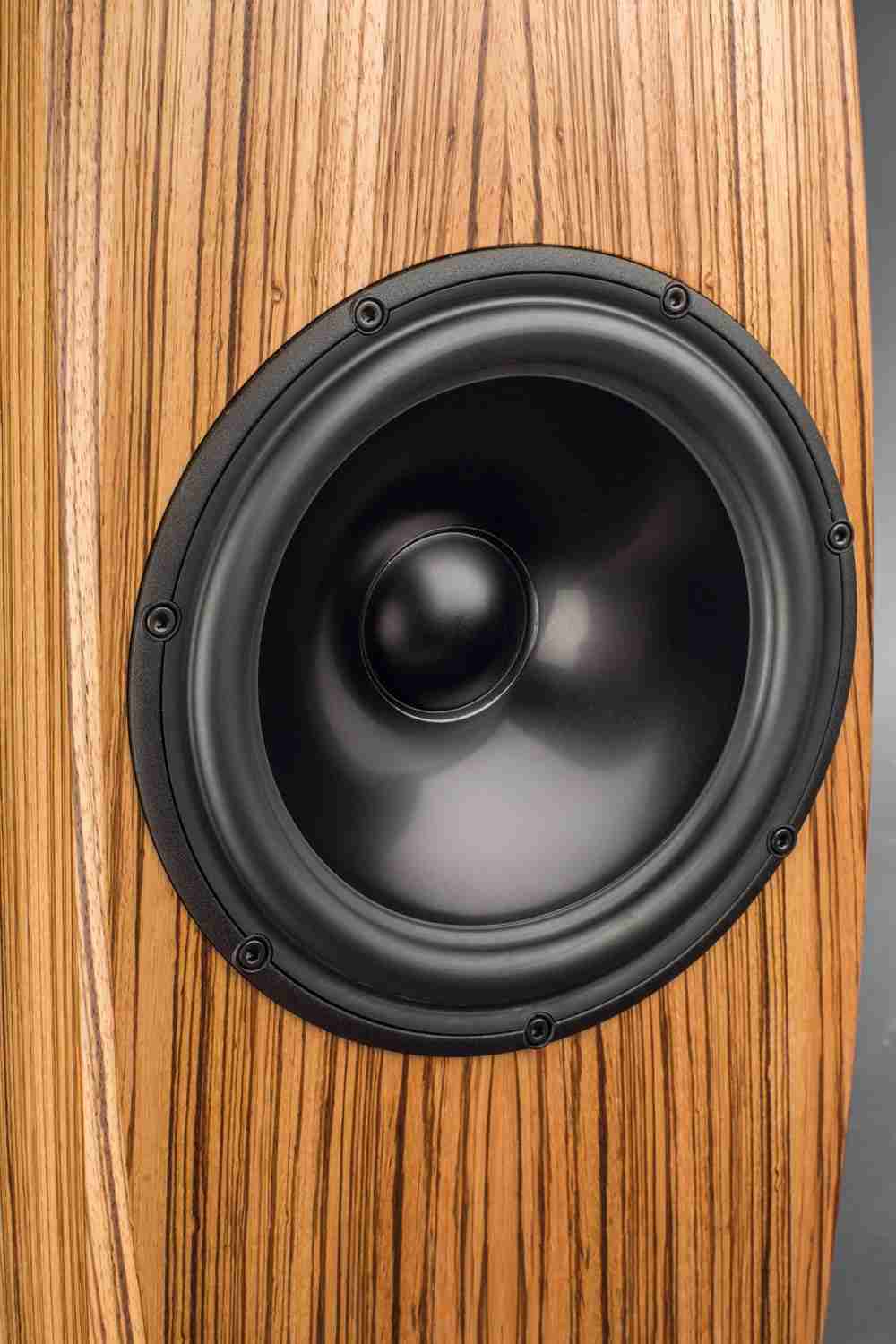 Lautsprecher Stereo Speaker Heaven Network 5.5 TSI Modell 2016 im Test, Bild 6