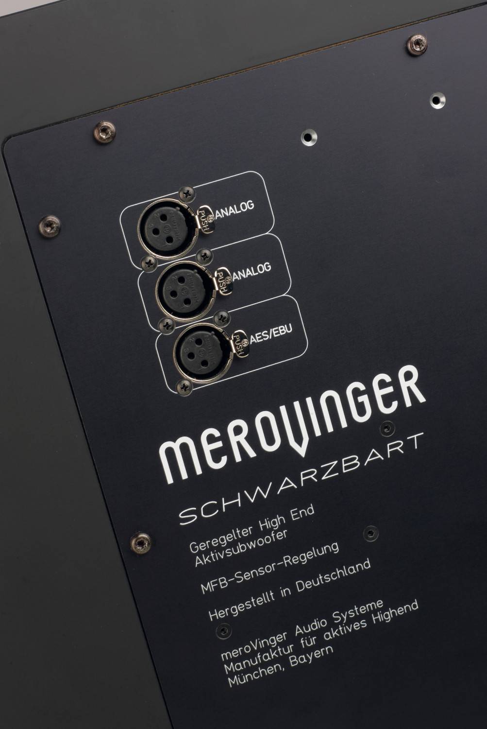 Merovinger Schwarzbart: Präzision im Tiefbass: meroVinger Schwarzbart, Bild 2 Subwoofer (Home) meroVinger Schwarzbart im Test, Bild 2