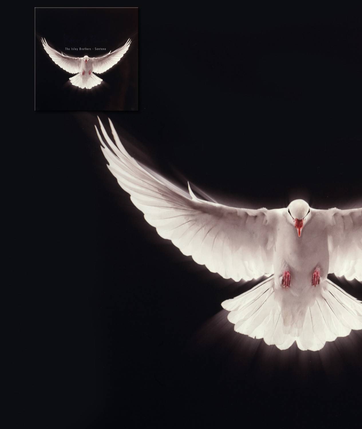 Schallplatte The Isley Brothers + Santana - Power of Peace (Legacy) im Test, Bild 2