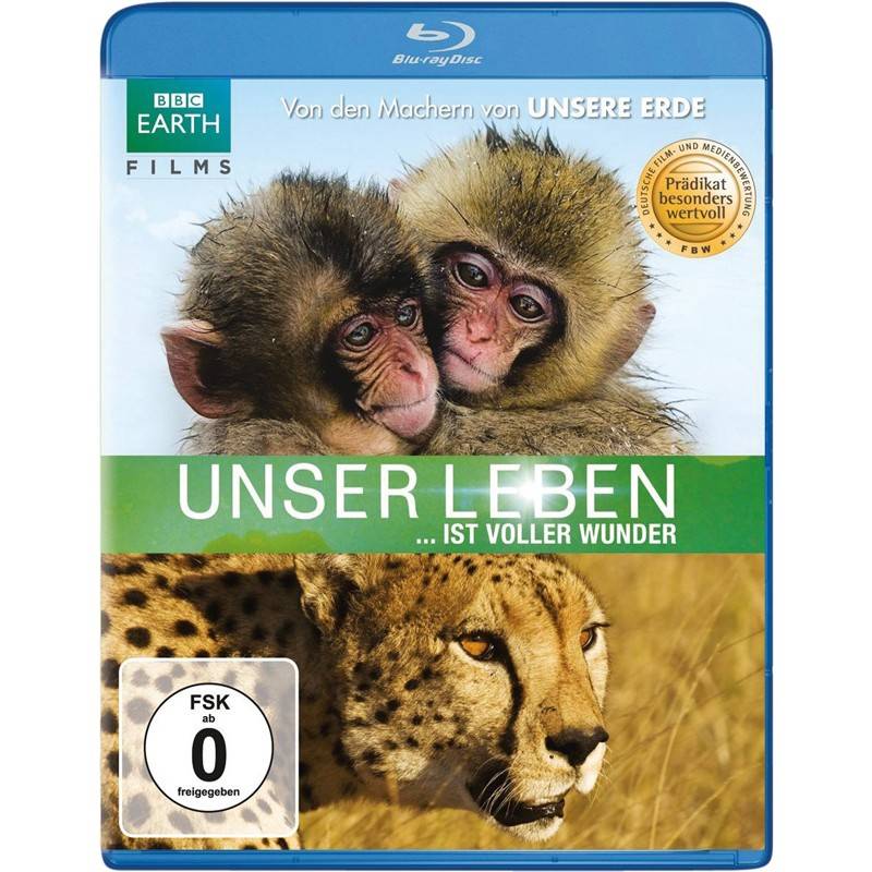 Blu-ray Film Unser Leben (Paramount) im Test, Bild 1