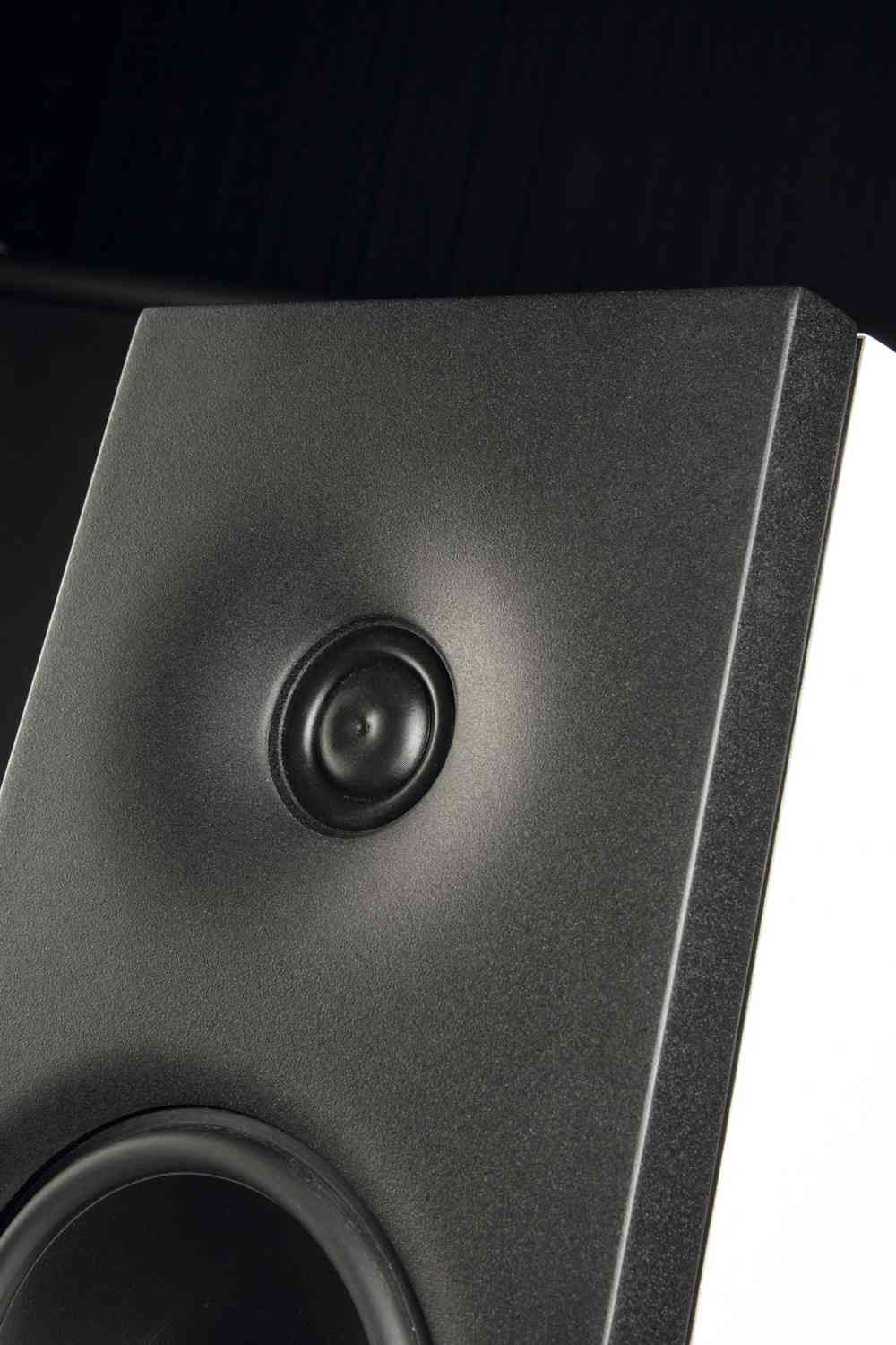 Lautsprecher Stereo Verity Audio Parsifal Anniversary im Test, Bild 2