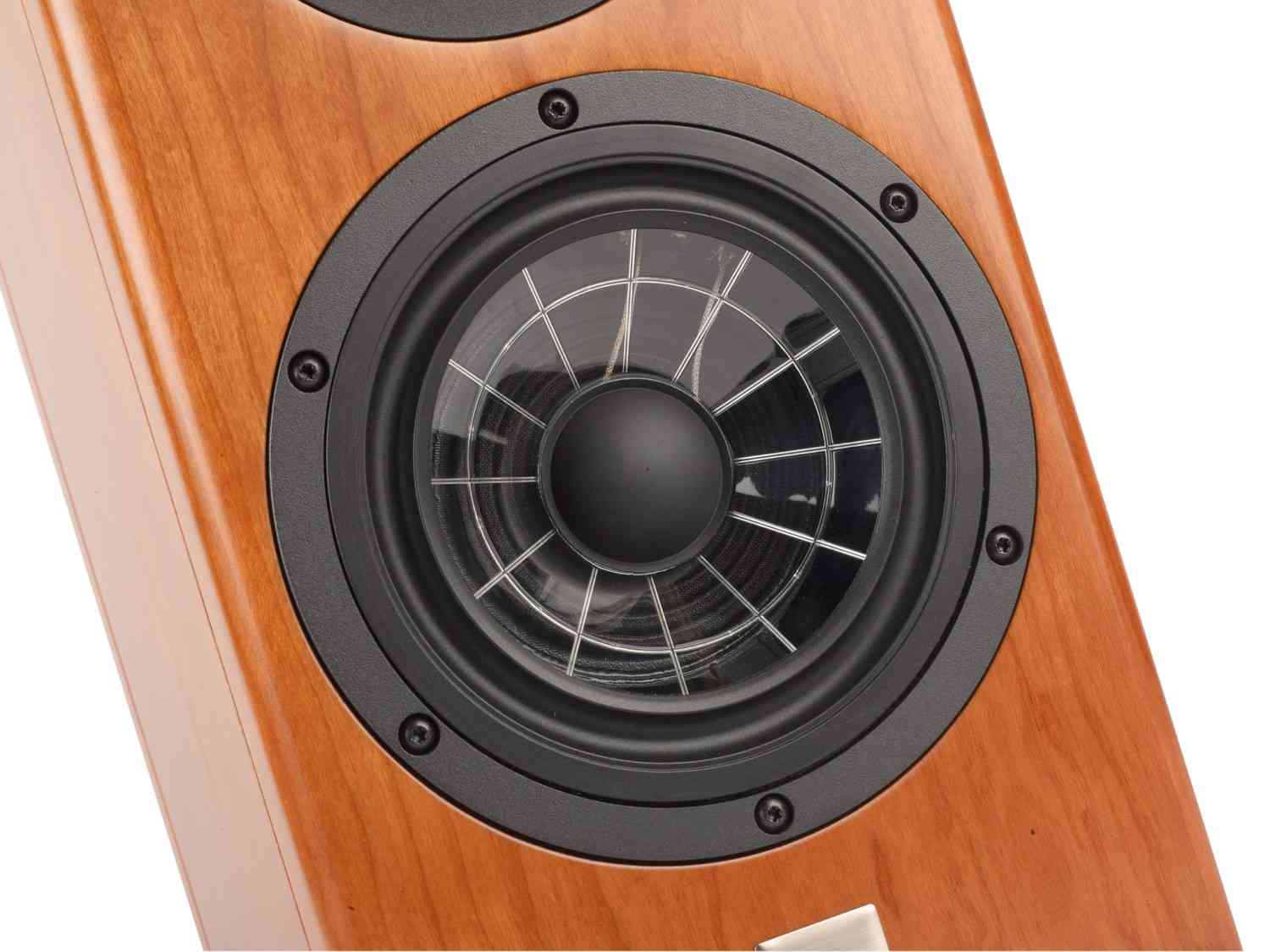 Lautsprecher Stereo Vienna Acoustics Haydn SE Signature im Test, Bild 4