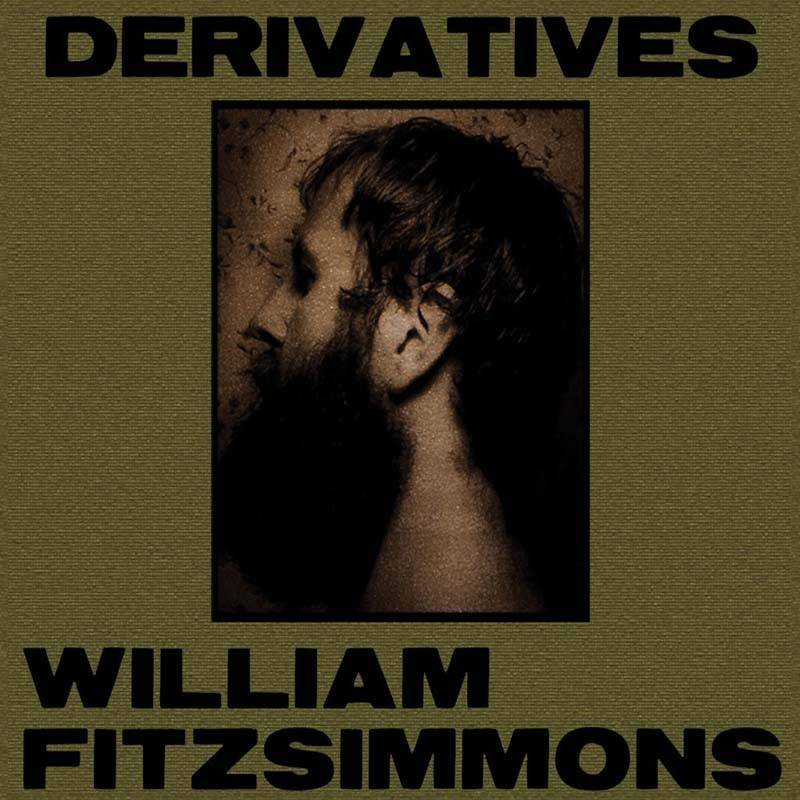Download William Fitzsimmons - Derivatives (Naim Lab) im Test, Bild 1