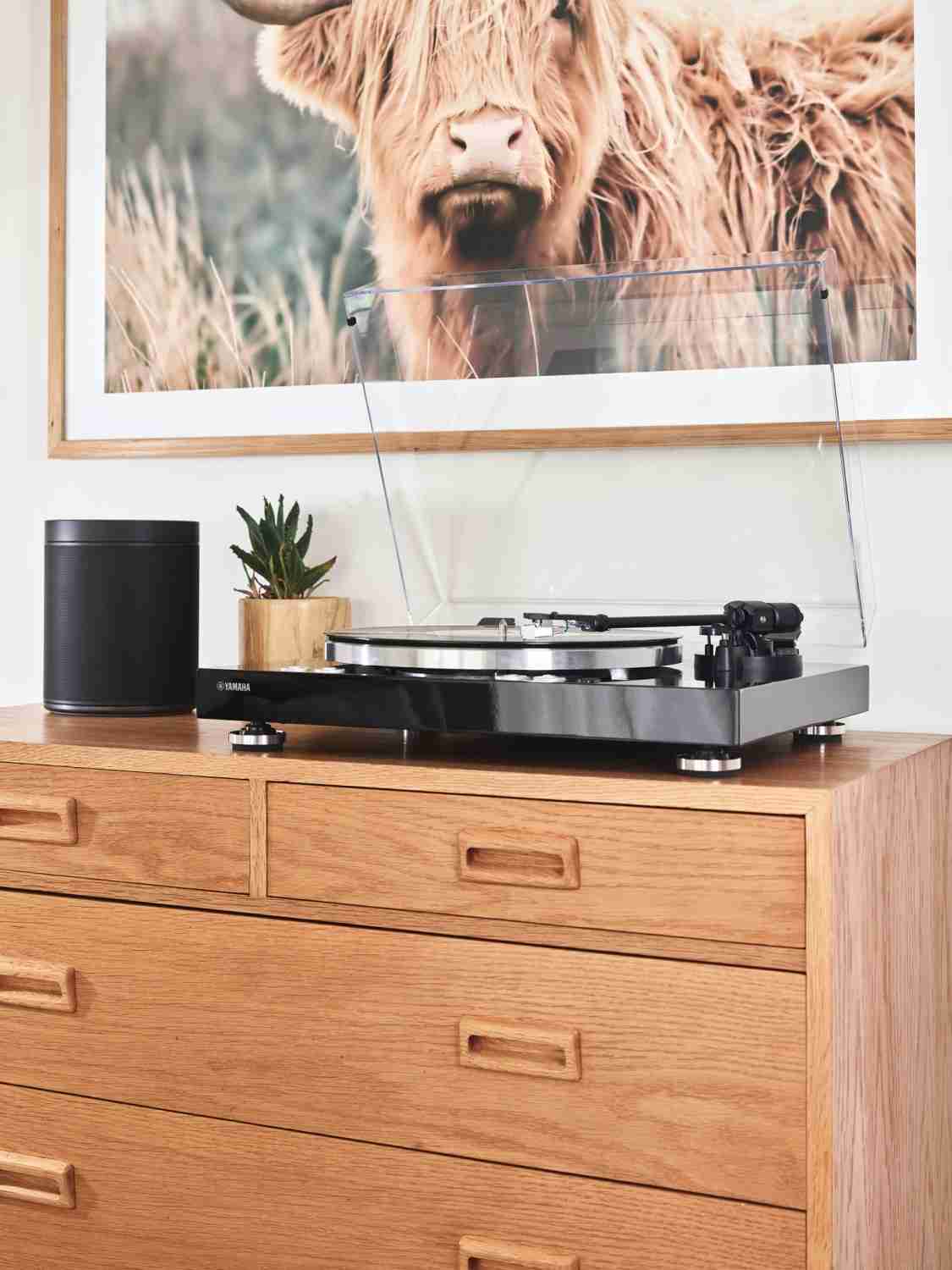 Yamaha MusicCast Vinyl 500 - Yamaha hat den Dreh raus Yamaha MusicCast Vinyl 500 - Yamaha hat den Dreh raus
