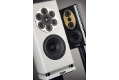 Neuron Acoustic Majestic M und R/T