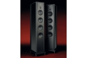 Rosso Fiorentino<br>Arno40