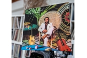 Schallplatte Al Di Meola – Casino (Sony Music JC 35277) im Test, Bild 1