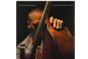 Schallplatte Avishai Cohen Trio - From Darkness (Razdaz Records) im Test, Bild 1