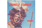 Schallplatte Chaino and His African Percussion Safari - Jungle Echoes (Black Sweat Records / Moi J’Connais) im Test, Bild 1