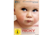 DVD Film Concorde Ricky - Wunder geschehen im Test, Bild 1