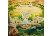 Schallplatte Dewa Budjana - Hasta Karma (Moonjune Records) im Test, Bild 1