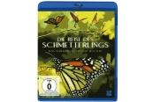 Blu-ray Film Die Reise des Schmetterlings (NEW KSM) im Test, Bild 1