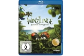 Blu-ray Film Die Winzlinge – Abenteuer in der Karibik (Weltkino) im Test, Bild 1