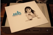 Schallplatte Eels – Beautiful Freak (Dreamworks) im Test, Bild 1
