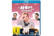 Blu-ray Film Ein Mops zum Verlieben (Atlas Film GmbH) im Test, Bild 1