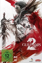 Games PC Flashpoint Guild Wars 2 im Test, Bild 1