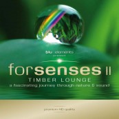 Download Forsenses II - Timber Lounge (Sony) im Test, Bild 1