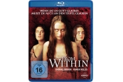 Blu-ray Film From Within (Kinowelt) im Test, Bild 1
