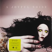 Schallplatte Gossip – A Joyful Noise (Sony Music) im Test, Bild 1