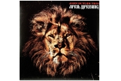 Schallplatte John Butler Trio – April Uprising (Jarrah Records / Because Music) im Test, Bild 1