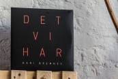 Schallplatte Kari Bremnes – Det Vi Har (Indigo) im Test, Bild 1