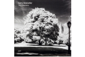 Schallplatte Larry Grenadier The Gleaners (ECM) im Test, Bild 1