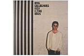 Schallplatte Noel Gallagher´s High Flying Birds - Chasing Yesterday (Sour Mash) im Test, Bild 1