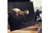 Schallplatte Paul & The Broken Bones – Young Sick Camellia (2018 Records /Red Music) im Test, Bild 1