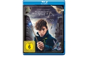 Blu-ray Film Phantastische Tierwesen und wo sie zu finden sind (Warner Bros.) im Test, Bild 1