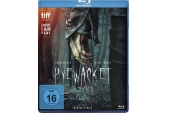 Blu-ray Film Pyewacket – Tödlicher Fluch (Pierrot le Fou) im Test, Bild 1