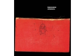 Schallplatte Radiohead - Amnesiac (Parlophone) im Test, Bild 1