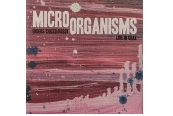 MicroOrganisms – Enders / Chicco / Rossy – Live in Graz<br>(Ammerton)