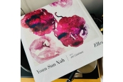 Youn Sun Nah – Elles<br>(NPLUG)