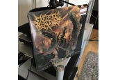 Schallplatte Skeletal Remains – Devouring Mortality (Century Media) im Test, Bild 1