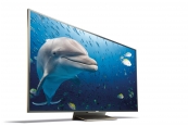 Fernseher Sony KD-65ZD9 im Test, Bild 1