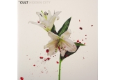 Schallplatte The Cult - Hidden City (Cooking Vinyl) im Test, Bild 1