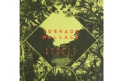 Schallplatte Tornado Wallace - Lonely Planet (Running Back) im Test, Bild 1