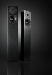 Lautsprecher Stereo Totem Acoustic Sttaf im Test, Bild 1