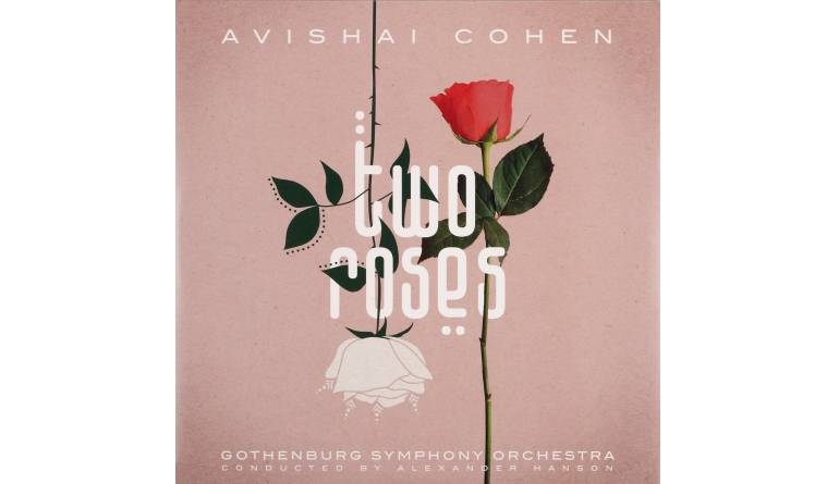 Avishai Cohen – Two Roses: Avishai Cohen – Two Roses (Naïve), Bild 1 Schallplatte Avishai Cohen – Two Roses (Naïve) im Test, Bild 1