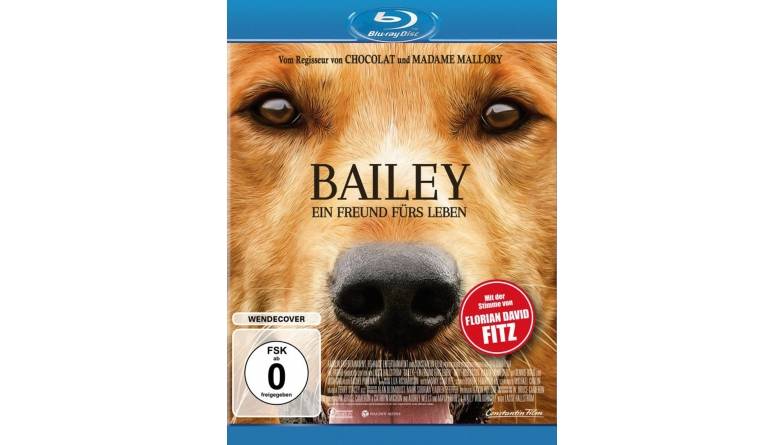 Blu-ray Film Bailey – Ein Freund fürs Leben (Constantin) im Test, Bild 1