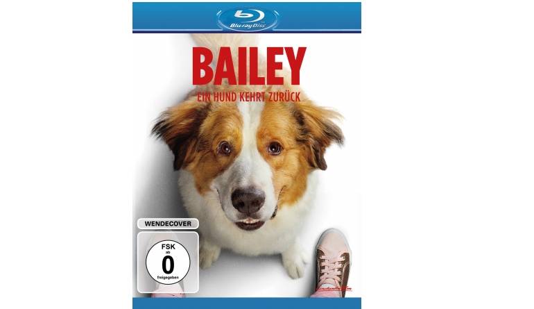 Bailey – Ein Hund kehrt zurück, Drama: Bailey – Ein Hund kehrt zurück (Constantin Film), Bild 1 Blu-ray Film Bailey – Ein Hund kehrt zurück (Constantin Film) im Test, Bild 1