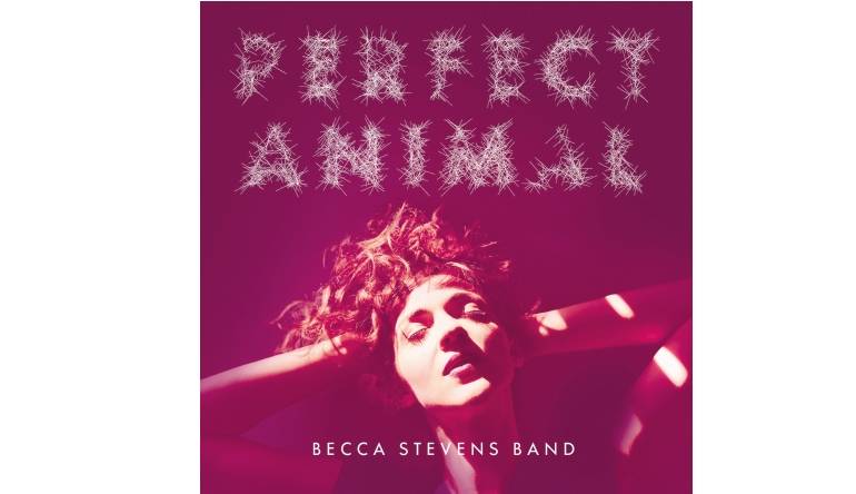 Becca Stevens Band - Perfect Animal: Becca Stevens Band - Perfect Animal (Decca), Bild 1 Download Becca Stevens Band - Perfect Animal (Decca) im Test, Bild 1