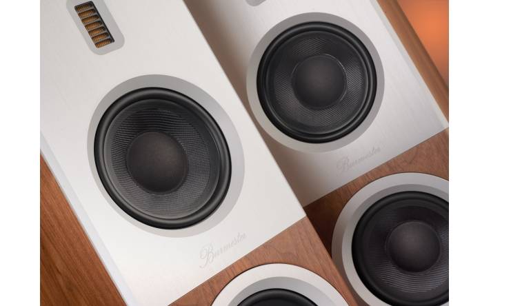 Mit aller Konsequenz: Burmester B28, Bild 1 Lautsprecher Stereo Burmester B28 im Test, Bild 1