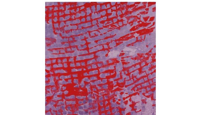Charlotte Greve & Keisuke Matsuno - Wood River: Charlotte Greve & Keisuke Matsuno - Wood River (Edition Longplay), Bild 1 Schallplatte Charlotte Greve & Keisuke Matsuno - Wood River (Edition Longplay) im Test, Bild 1