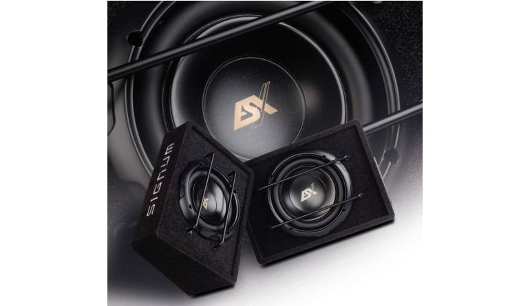 Car Hifi Endstufe Mono ESX Force2, ESX SXB8A, ESX SXB108A im Test , Bild 1